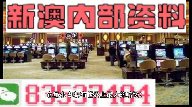 2024新澳精准资料免费,协调解答落实解释_模拟版2.19