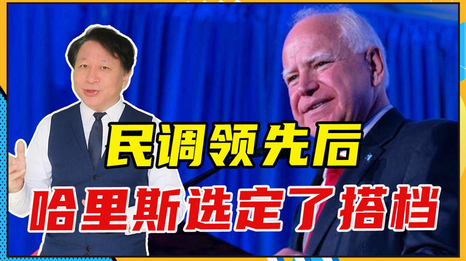 选民心中的奇幻之旅，从特朗普到哈里斯的选举打印人生