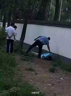 摘马蜂窝致人丧命，悲剧背后的意外蜇伤