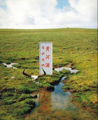黄河湿地滥伐林木事件引发关注，六人滥伐被捕，生态警钟长鸣