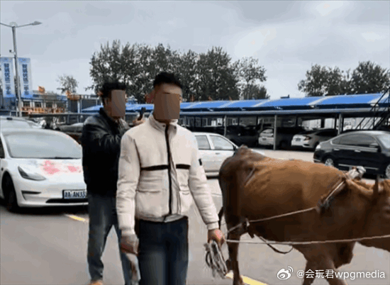 防爆振动电机 第1744页