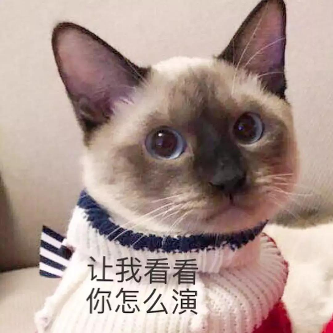 第一批购买爆款车的年轻人遭遇套牢现象，购车新观察