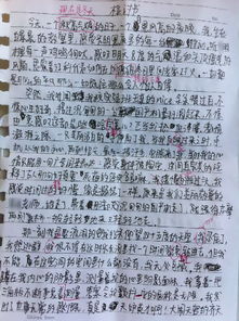两高中生奸杀教师案揭秘，拒绝悔过书的背后真相