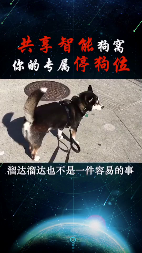 停狗位，一个专为狗狗打造的停车空间介绍