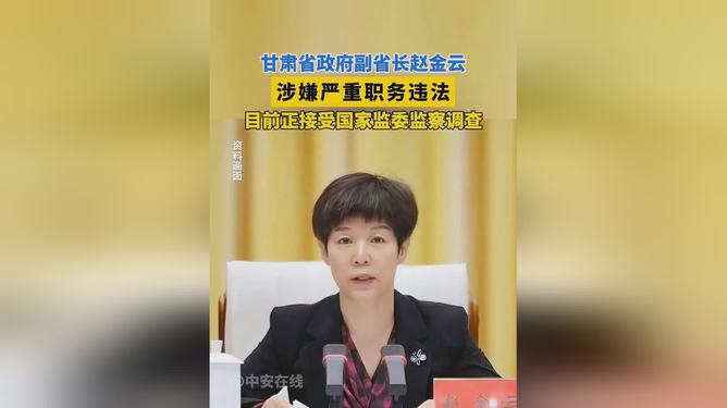 赵金云涉嫌严重职务盈利，揭示真相，呼唤正义之声