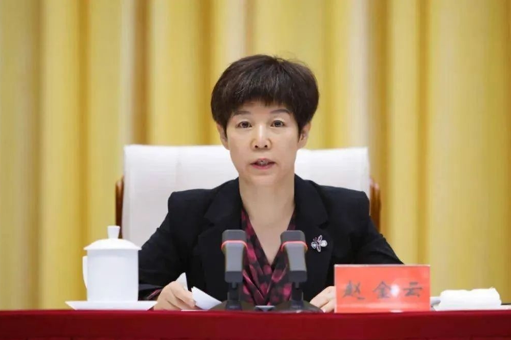 甘肃省副省长赵金云被查，公众关注的焦点与期待揭秘