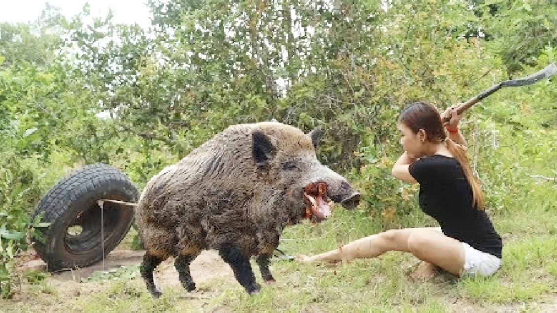 紫金山探险遭遇野猪撞伤游客，挑战与冒险的自我之旅