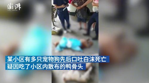 第6624页
