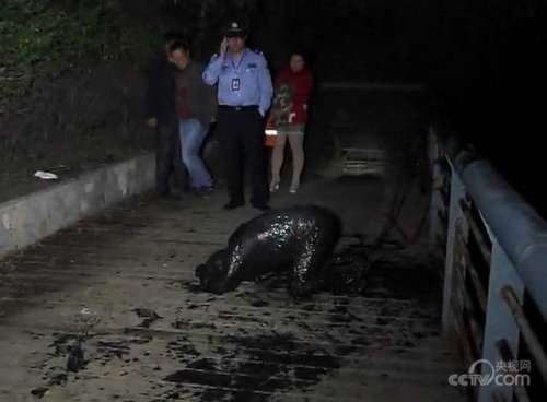 男生醉酒误入房间，搂错人引发半宿尴尬经历