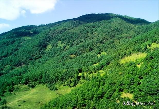 林草局将野猪移出三有名录，操作指南与步骤说明