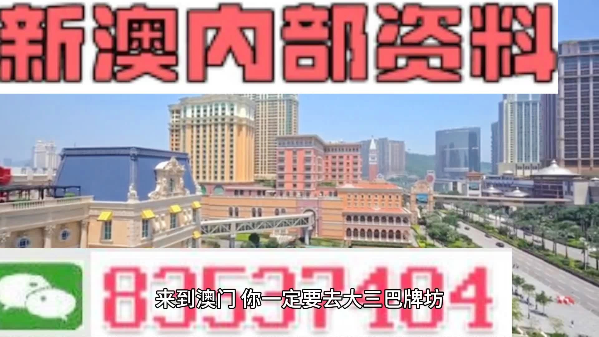2024年新澳门天天开彩,定性说明解析_豪华版21.84