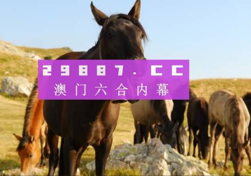 2023澳门管家婆资料正版大全,跨部门响应计划落实_永久版7.109