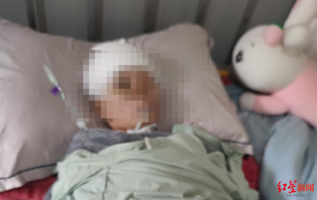 戴鲨鱼夹摔倒昏迷女子回家康复，家的温暖唤醒记忆故事