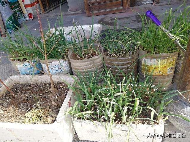 奢侈品牌推出三万元芹菜包，自信与成就感的背后故事