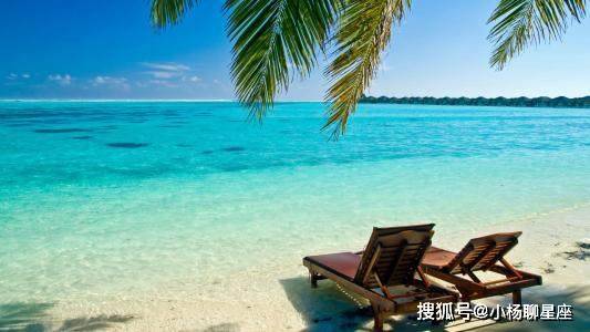 科技新品亮相海滩，智能撒花蛤，爸爸与女儿的互动盛宴