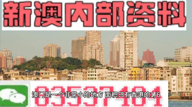 新澳门精准资料大全,才华解答解释落实_31.767