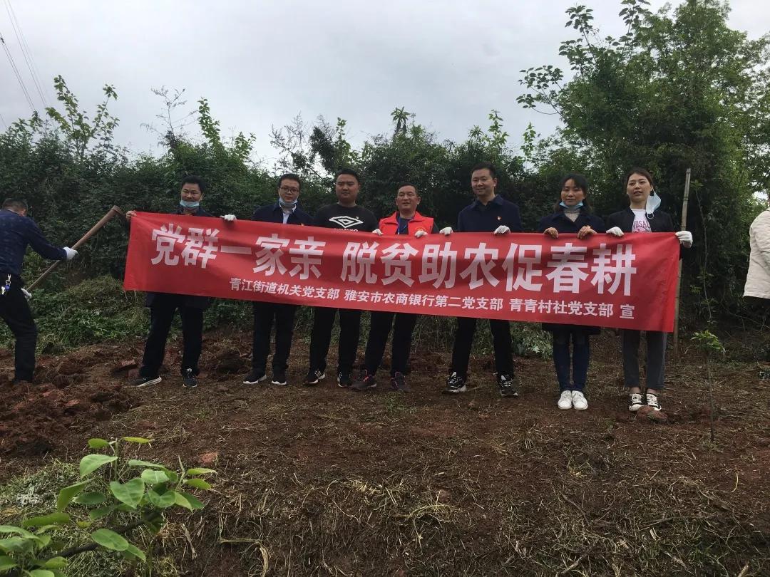 智能监管重塑生活，菜地被插牌禁止栽种，街道办回应新措施实施情况分析