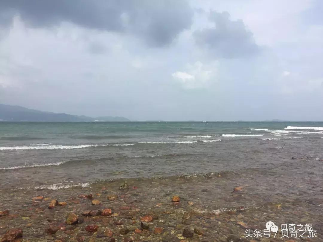 海滩上的父爱，小计谋与励志故事——花蛤的秘密与女儿的探险之旅