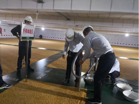 大国粮仓成绩单揭晓，丰硕储备展现实力
