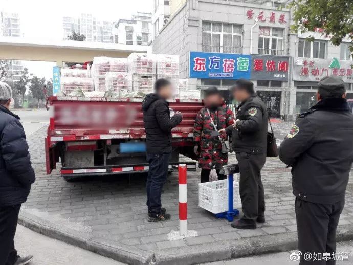 城市秩序与人情温度的微妙平衡，夫妻摆摊引发执法人员劝离的思考