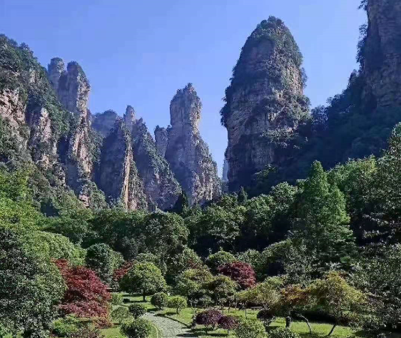 张家界景区收费争议背后的真相，风景变迁与自信成就感的展现