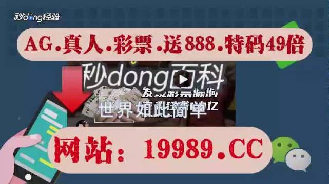 2024澳门天天开好彩免费,专家解析说明_专家型31.794