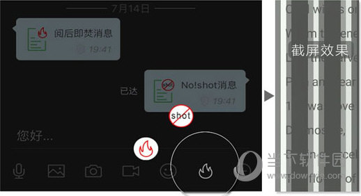 管家婆一码一肖最准资料最完整,精密分析路径解析解答_初学版31.641