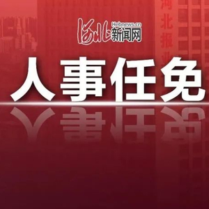 河北最新任免动态及解析