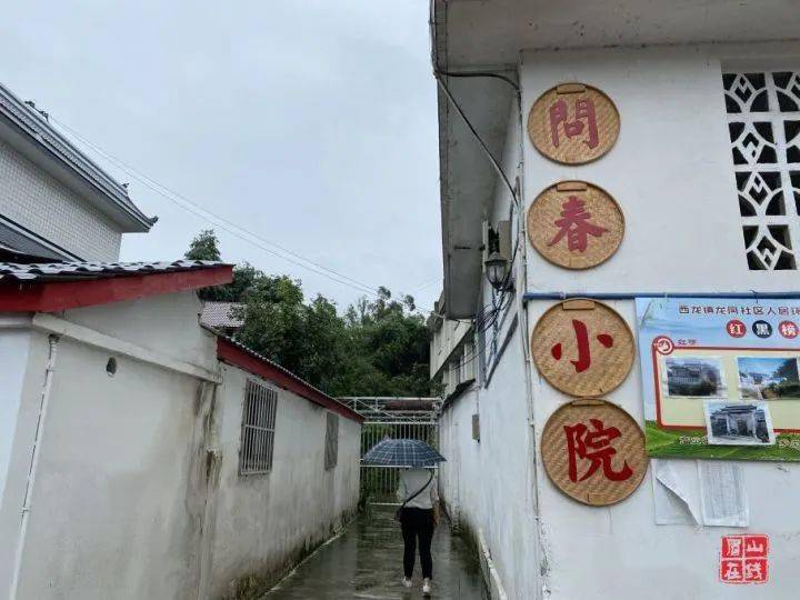 探寻古老文明的现代脉络，青神最新消息速递