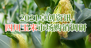 玉米价格最新行情走势图，自然美景中的旅行邂逅新行情分析