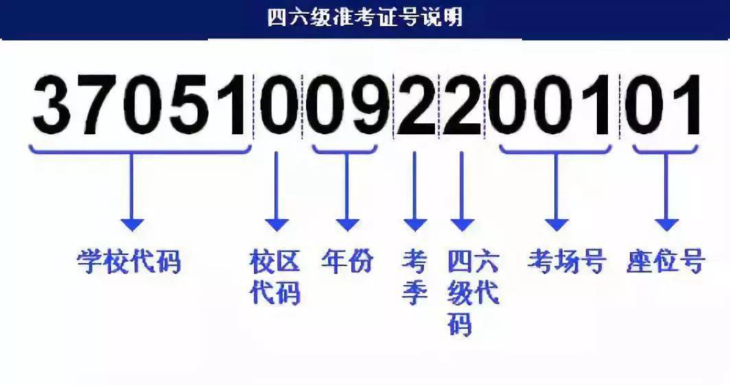 2024澳门特马今晚开奖53期,权威研究解答策略解释_适应款72.03