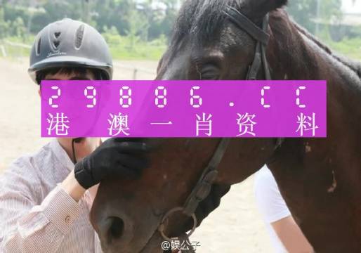 澳门最准一肖一码一码匠子生活,接力解答解释落实_唯一款71.655