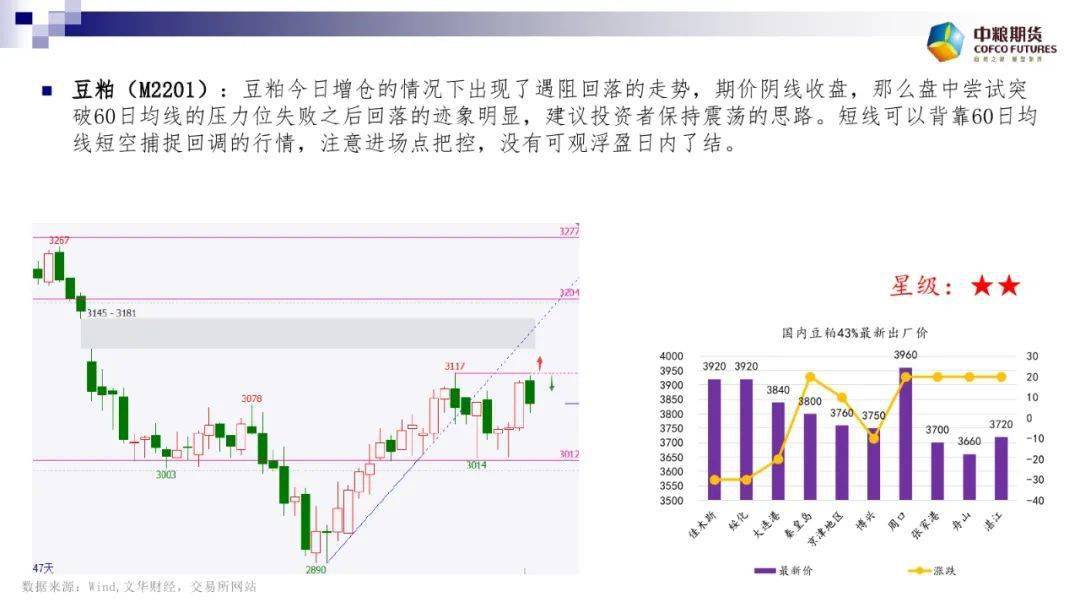 一码一肖100%的资料,全面分析数据执行_积极型44.266