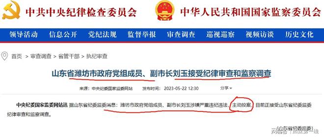 两位中央纪委委员职务对调，深度解析与观点碰撞