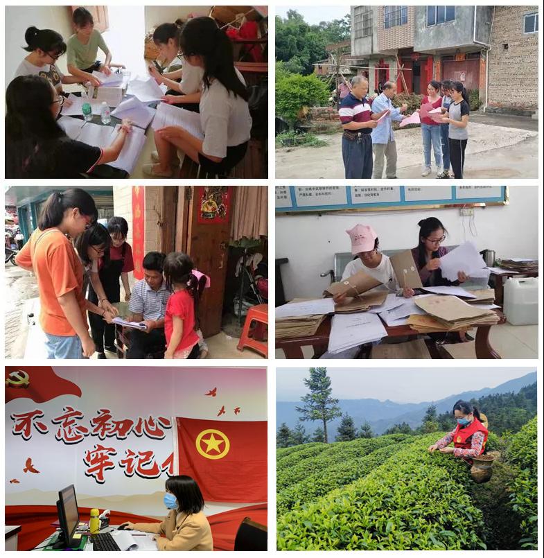 市场繁荣背后的深度解析，近270股A股涨幅超过11%的态势分析