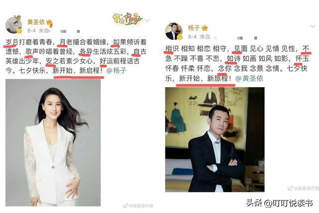 再见爱人导演辟谣黄圣依杨子剧本传闻，深度解读与指南