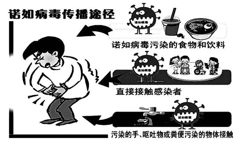 健康守护者应对之道