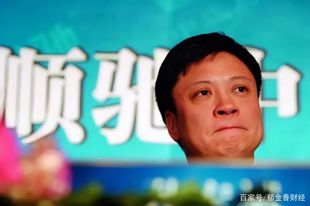 孙宏斌紧急补血12亿，心灵再生之旅与资产重塑之路