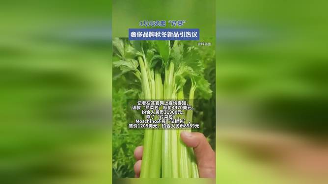 奢侈品牌