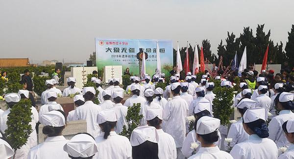 湖南龙山护士器官捐献传奇，小巷深处的秘密小店与生命延续的故事