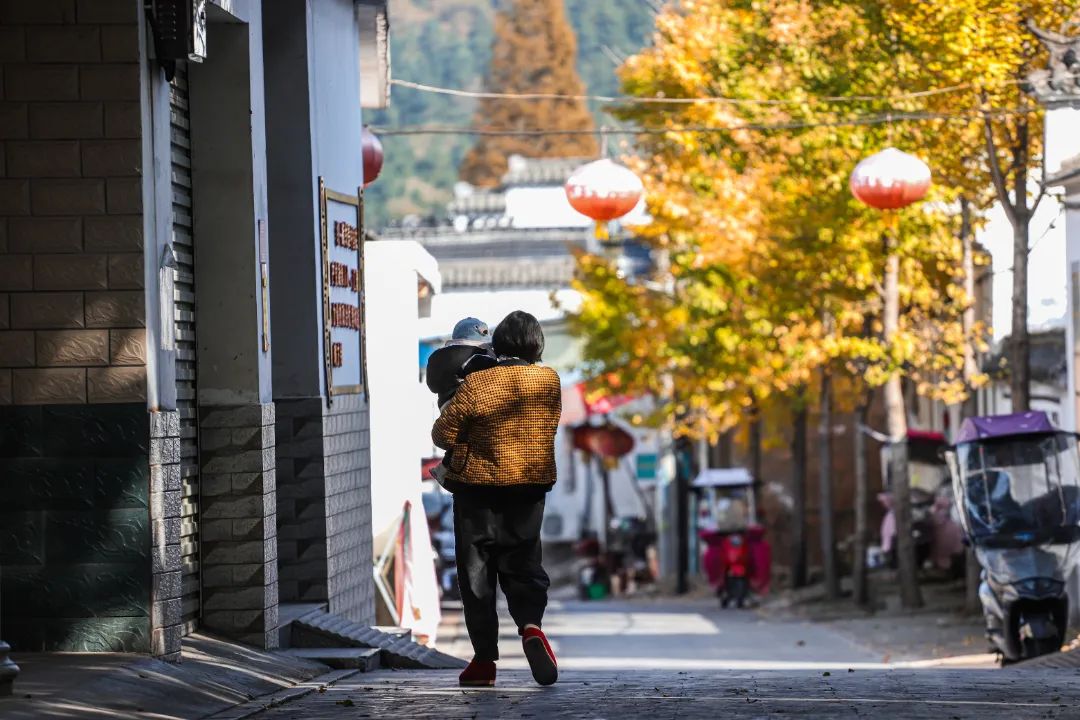 秋意浓时，小巷深处的暖意小店与多地创新低温