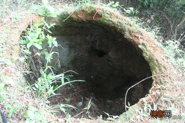 外来媳妇躲山洞吃野果充饥真相揭秘，一则假闻的探究