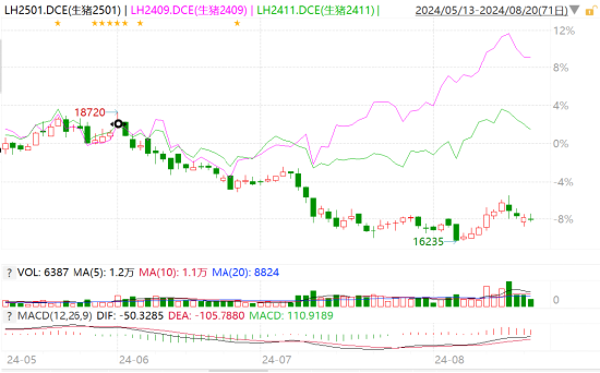 黄金ETF