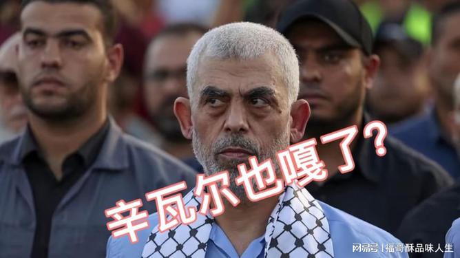 哈马斯新领导人
