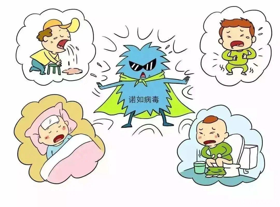 诺如病毒感染高发季应对指南与预防建议，守护健康，远离病毒威胁