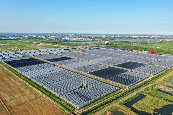 大国粮仓的科技密码，储备与未来展望