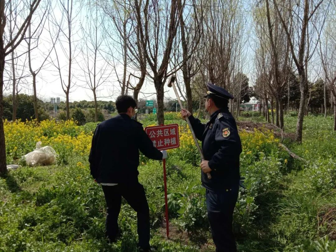 菜地插牌禁止栽种