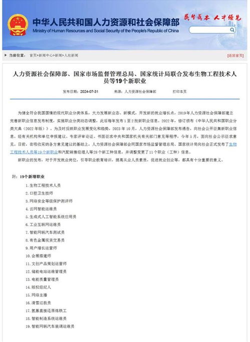 美国网络攻击活动