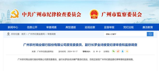 广州农商银行原副行长罗金诗被查事件揭秘，解析与应对指南