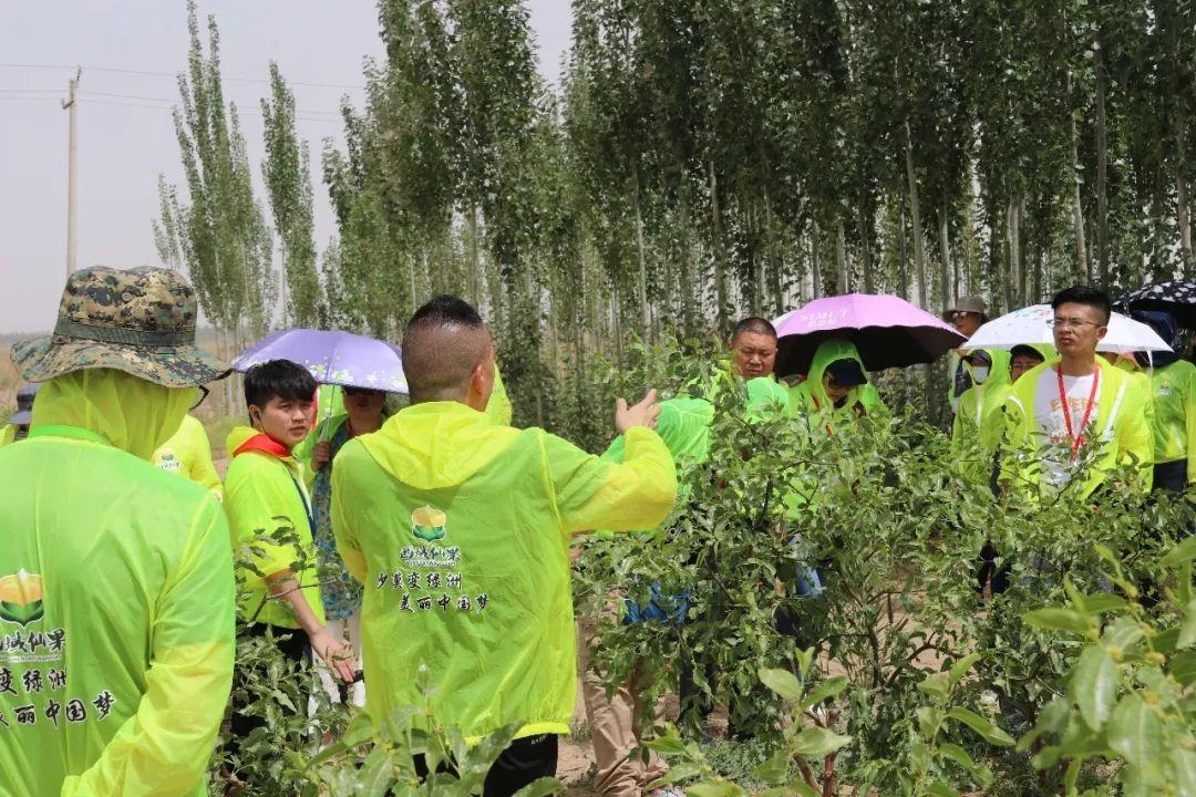 最新动态揭秘 第5页